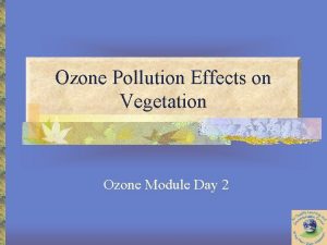 Ozone Pollution Effects on Vegetation Ozone Module Day