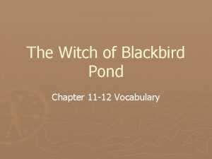 The Witch of Blackbird Pond Chapter 11 12