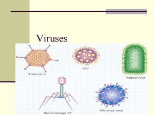 Viruses Viruses n Nonliving particle do not contain