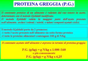 PROTEINA GREGGIA P G Il contenuto proteico di