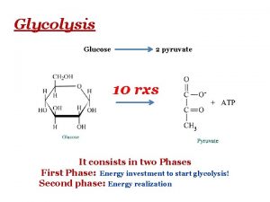 Glycolysis Glucose 2 pyruvate 10 rxs It consists