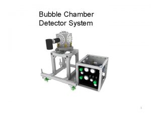 Bubble Chamber Detector System 1 ANL Bubble Chamber