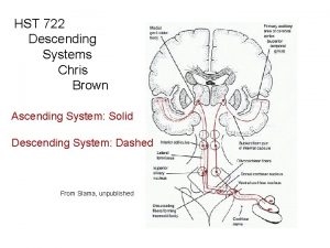 HST 722 Descending Systems Chris Brown Ascending System