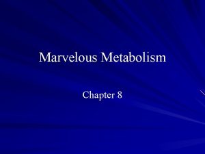 Marvelous Metabolism Chapter 8 I Vivacious Vocabulary Metabolism