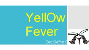 Yell Ow Fever By Defne Onguc What is