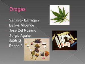 Drogas Veronica Barragan Belkys Midence Jose Del Rosario