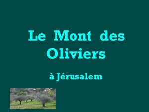 Le Mont des Oliviers Jrusalem Le Mont des