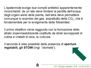 Lepidermide svolge due compiti antitetici apparentemente inconciliabili da