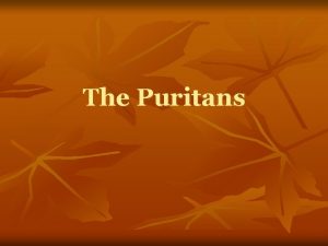 The Puritans Who were the Puritans n n