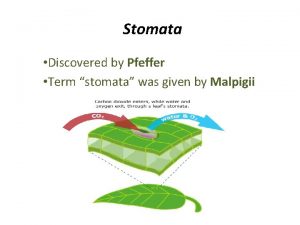 Stomata Discovered by Pfeffer Term stomata was given