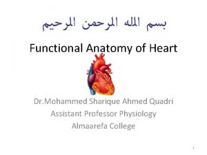 Functional Anatomy of Heart Dr Mohammed Sharique Ahmed