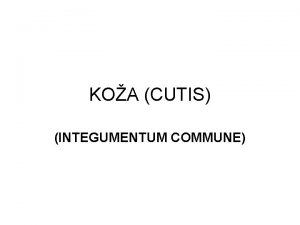 KOA CUTIS INTEGUMENTUM COMMUNE Koa Najvei organ povrine