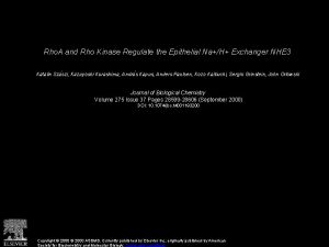 Rho A and Rho Kinase Regulate the Epithelial