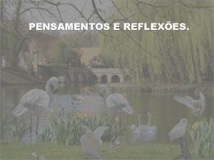 PENSAMENTOS E REFLEXES A meta romper os parmetros