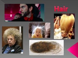 Hair and more hair Hair as Evidence Can