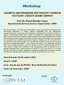 Workshop MAGNETIC AND MSSBAUER SPECTROSCOPY STUDIES IN FECYCLAM