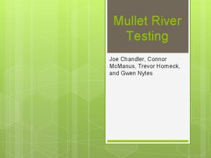 Mullet River Testing Joe Chandler Connor Mc Manus
