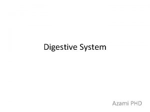 Digestive System Azami PHD Digestive System Anatomy Digestive