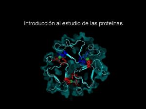 Introduccin al estudio de las protenas Sur lexistence