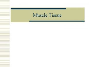 Muscle Tissue Types of Muscle Tissue w Skeletal