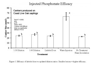 Injected Phosphonate Efficacy 80 Canker Size mm 2