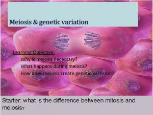 Meiosis genetic variation Learning Objective Why is meiosis