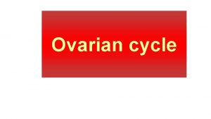 Ovarian cycle Ovarian cycle It occurs in the