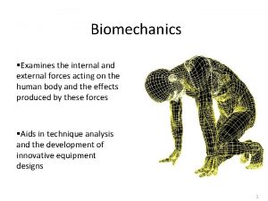 Biomechanics Examines the internal and external forces acting