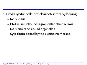 Prokaryotic cells are characterized by having No nucleus