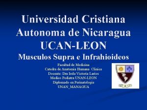 Universidad Cristiana Autonoma de Nicaragua UCANLEON Musculos Supra
