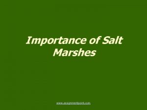 Importance of Salt Marshes www assignmentpoint com Importance