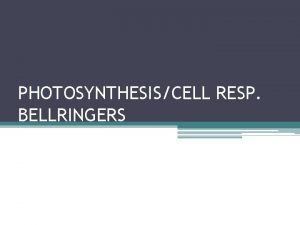 PHOTOSYNTHESISCELL RESP BELLRINGERS Cellular Energy Bellringer 1 Rate