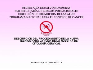 SECRETARA DE SALUD HONDURAS SUB SECRETARA DE RIESGOS