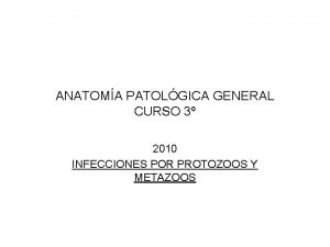 ANATOMA PATOLGICA GENERAL CURSO 3 2010 INFECCIONES POR