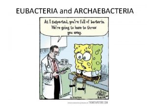 EUBACTERIA and ARCHAEBACTERIA pp 360 372 Classifying Prokaryotes