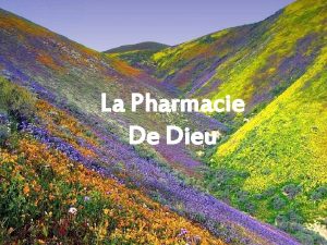 La Pharmacie De Dieu On dit que Dieu