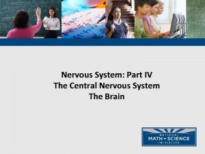 Nervous System Part IV The Central Nervous System