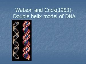 Watson and Crick1953Double helix model of DNA Double