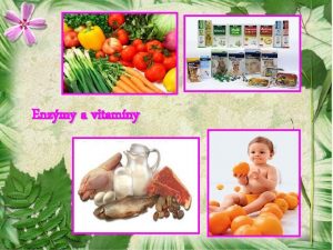 Enzmy a vitamny Enzmy l Enzmy s biokatalyztory