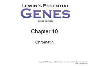 Chapter 10 Chromatin 10 1 Introduction nucleosome The