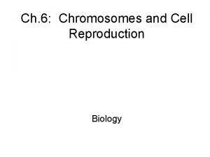 Ch 6 Chromosomes and Cell Reproduction Biology Cell