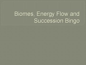 Biomes Energy Flow and Succession Bingo food web