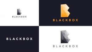 BLACK BOX MODEL What is a Black Box