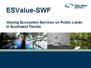 ESValueSWF Valuing Ecosystem Services on Public Lands in