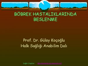 BBREK HASTALIKLARINDA BESLENME Prof Dr Glay Koolu Halk
