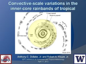 Convectivescale variations in the innercore rainbands of tropical