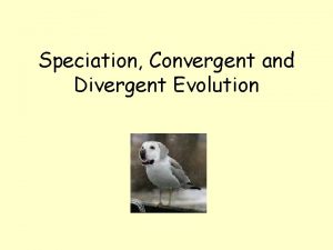 Speciation Convergent and Divergent Evolution What is a