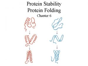Protein Stability Protein Folding Chapter 6 Protein Stability