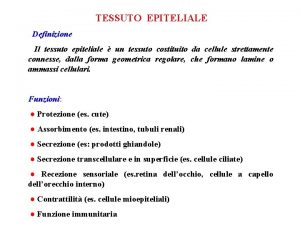 TESSUTO EPITELIALE Definizione Il tessuto epiteliale un tessuto