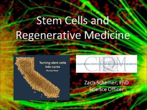 Stem Cells and Regenerative Medicine Zach Scheiner Ph